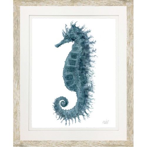 KS- SEAHORSE 4